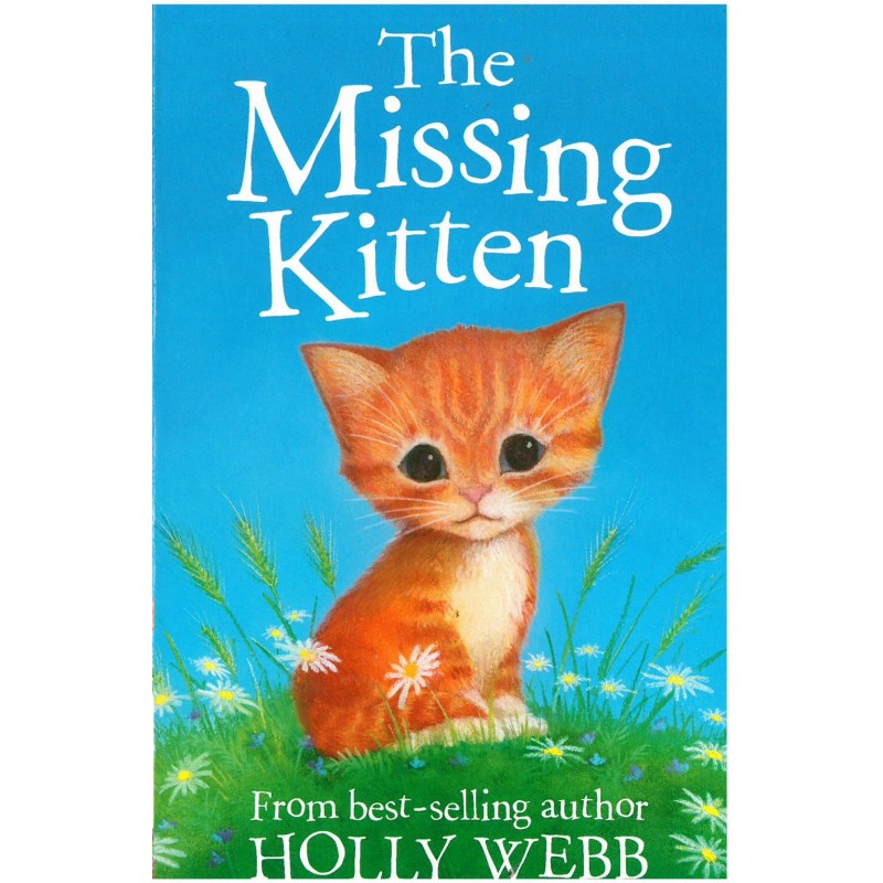 The Missing Kitten (novel)