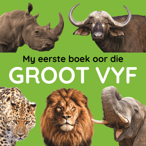 My Eerste Boek oor die Groot Vyf - Kartonboek